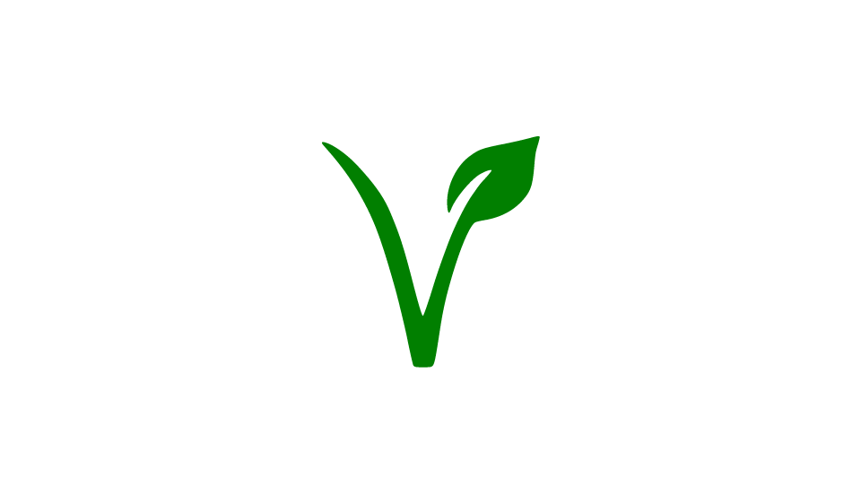 Veganston